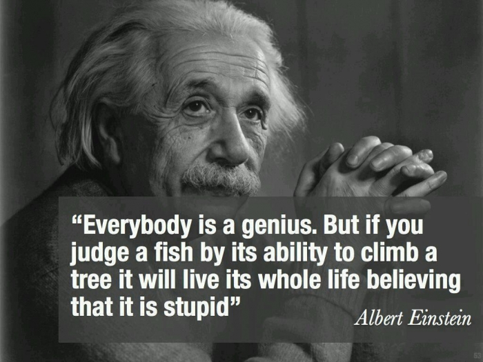 Albert Einstein, Bhrigu Pankaj Prashar